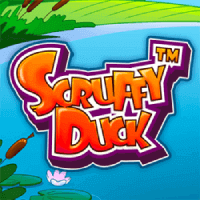 Scruffy_duck