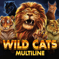 Wild_cats_multiline