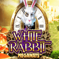white_rabbit_